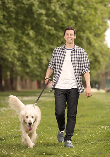 We create animated movies